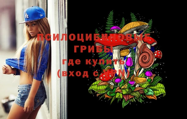 марки nbome Богданович